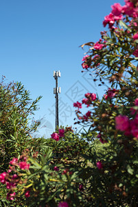 5g电信发射机蓝天上的gsm线自然5g新技术概念绿色树叶和木图片