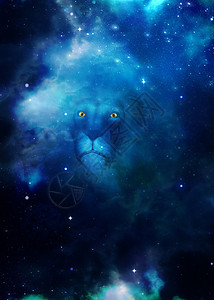 星空背景中的狮子插图图片