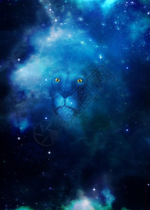 星空插图星空背景中的狮子插图背景
