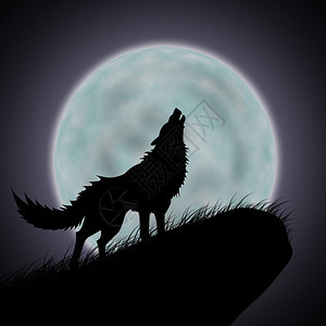 狼叫月圆图片