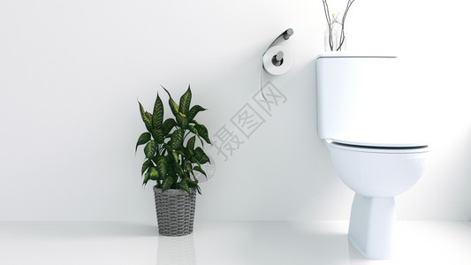 浴室内有厕所用具和花瓶3D图片