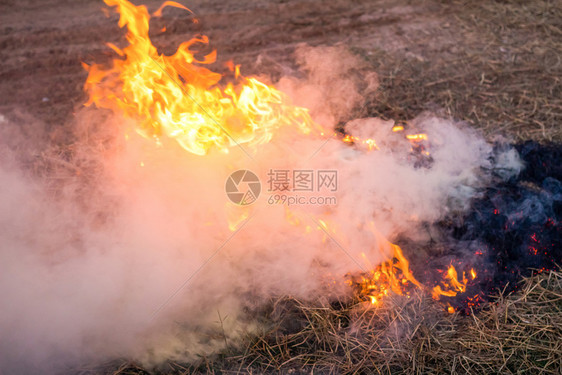 在草地上点燃稻草图片