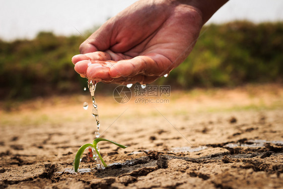 给地上浇水不育图片