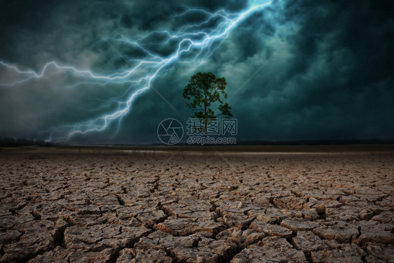 土到地面干燥裂开大树雷暴图片