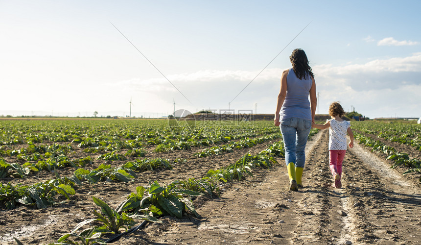 农妇和小女孩在田上行走图片