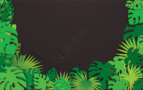 热带树叶矢量背景图片