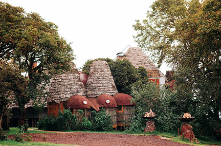 201年jun2501tanzi豪华木制非洲原始小别墅图片