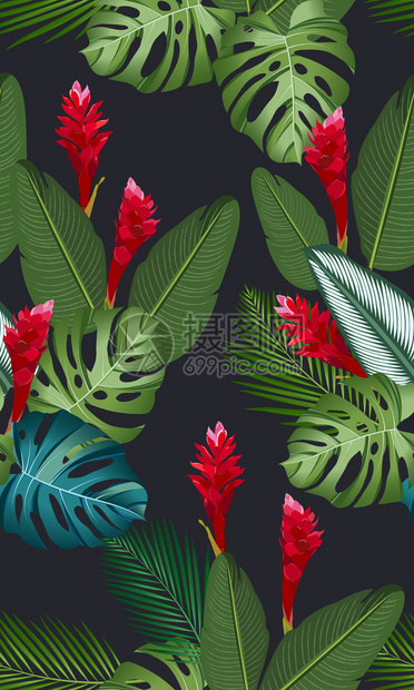 热带树叶和花朵矢量背景图片