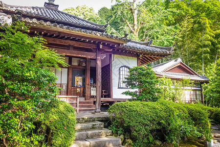 日本京都寺庙花园中的奇昂建筑日本京都寺庙花园中的香椿图片