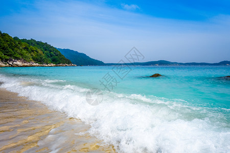 海龟滨远洋岛屿长马来西亚长洋岛屿图片