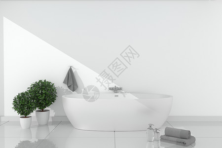 在陶瓷地板上挂有明墙的美丽浴池空房概念图片