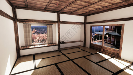 室内设计带有塔米垫子的现代客厅和以最佳窗口视图为主的传统日本门图片