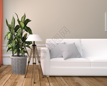 室内白色沙发和灯木制地板上的白色空墙图片