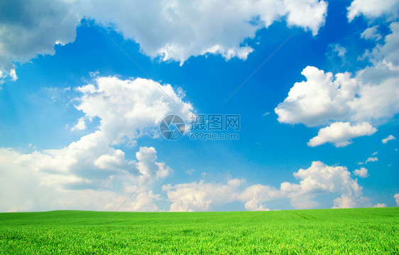 蓝色天空下的绿地图片