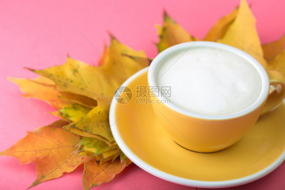 美丽的黄咖啡杯粉红背景和近处的树叶上加卡布奇诺图片