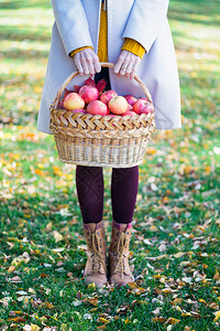 女孩拿着篮子果汁苹在花园里图片