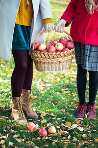 女孩拿着篮子果汁苹在花园里图片