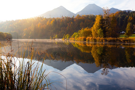 一片美丽的山湖与反射景色秋天图片