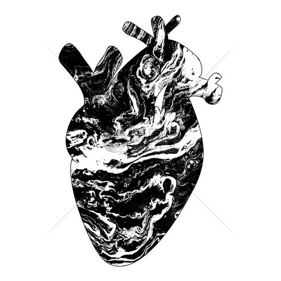 抽象的人类心脏背影和大理石纹图片