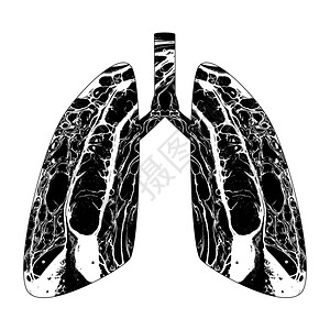 抽象人类肺的背影着大理石纹图片