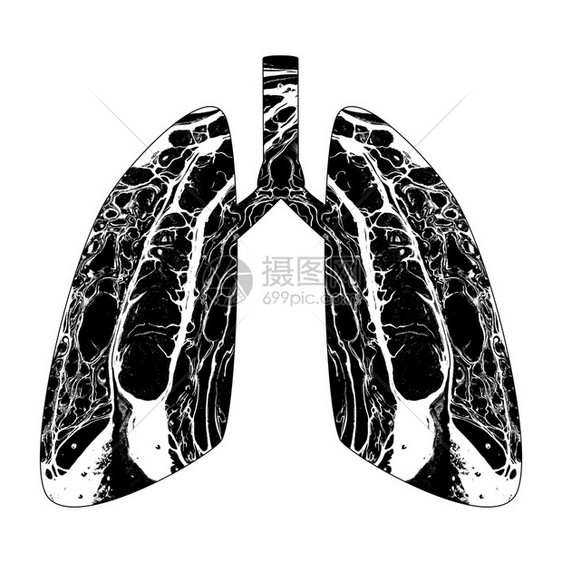 抽象人类肺的背影着大理石纹图片