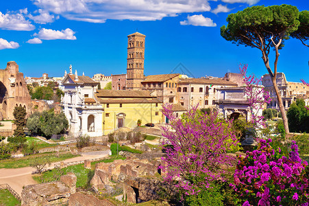 对意大利首都罗马曼论坛的废墟春光全景图片