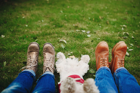 狗和夫妇在绿草上配有叶子脚紧人散步后放松行落脚人步后放轻松图片