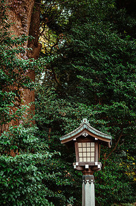 东京yogi公园附近的圣林在大树下为meijngu神庙装饰古老的日本灯具图片