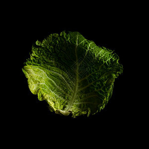 黑背景工作室的白菜叶图片