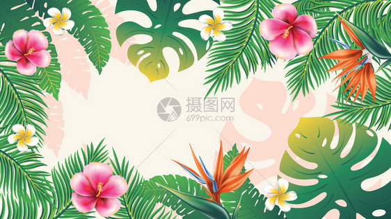 鲜花横幅上面有热带叶子和外来花朵设计图片