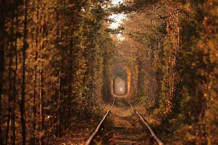 秋天的铁路隧道图片