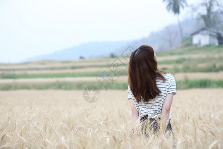 在小麦天的女孩图片