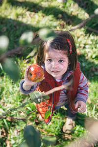 透过树枝看一眼小女孩手里拿着有机苹果图片