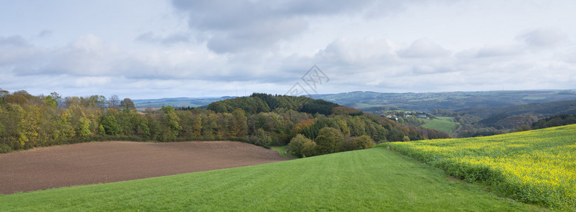 野外有芥末种子和彩色的秋天乡村风景云层下有德国菜叶图片