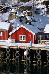 传统的挪威木屋站立在峡湾的岸边和远处山上图片