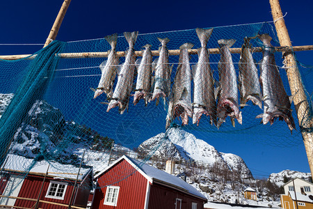 传统的挪威木制图片