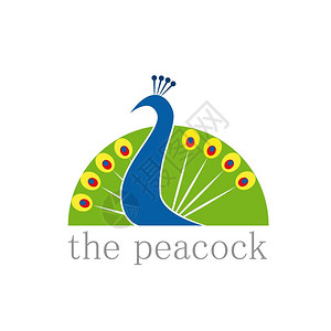 白描孔雀设计图片