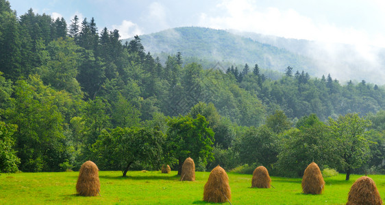 草原山丘的地平面乡村貌广博的照片背景图片