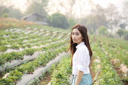 小麦田的亚洲女孩图片