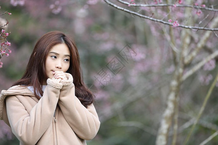 美丽的亚洲年轻女子盛开樱花的图片