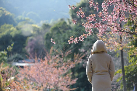 美丽的年轻女盛开樱花图片