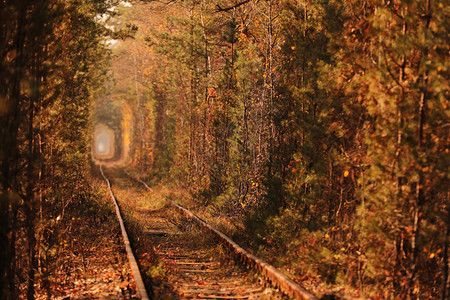 爱的隧道铁路秋天森林隧道古老神秘的森林爱秋天铁路图片