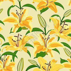 黄色背景上的百合花图片