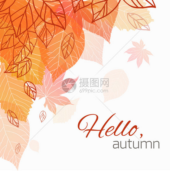 秋季黄色树叶矢量元素背景图片