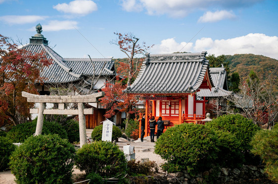 2014年的nov18204年的oknamjpn当地日本女在花园和底的fugeni寺庙的suka小神庙祈祷图片