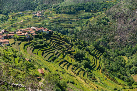 俯视农业梯田著名的提贝特风格景观portacvplcesitloarcsdevalzportugal图片