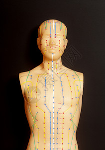 医疗人体人体的医学针切模型背景