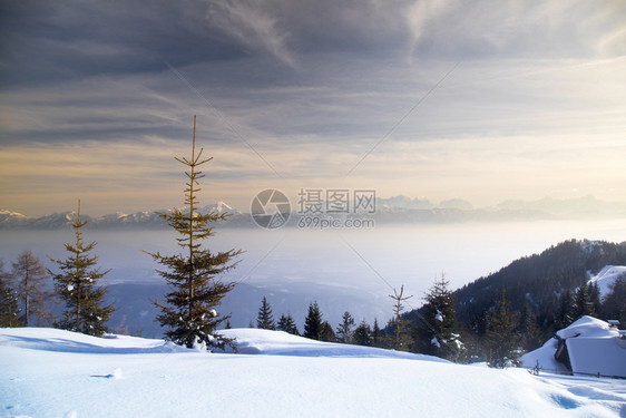 美丽的冬季风景日落雪覆盖树木图片