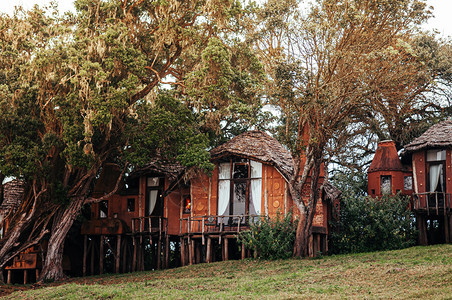 201年6月5日坦萨尼亚jun2501Tanzi豪华粘土屋非洲原始小别墅图片