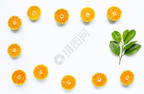 白色背景的新鲜橙框架图片